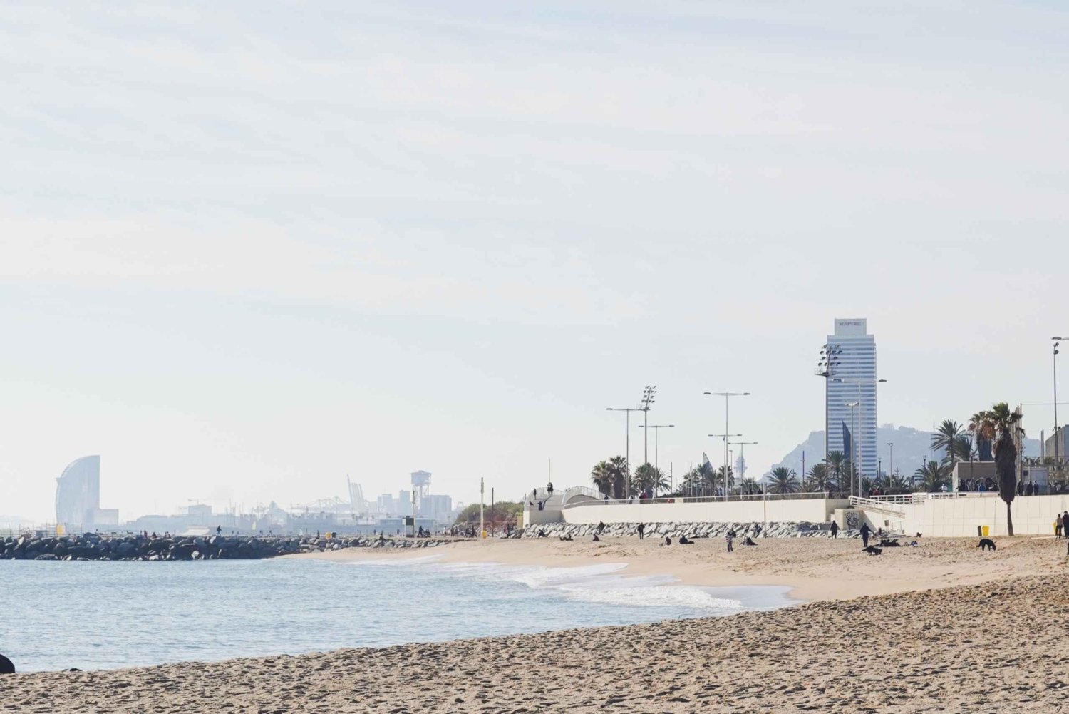 Барселона: 1,5-часовой урок сапсерфинга