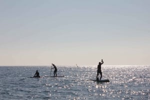 Barcelona 1-Hour Paddle Surfing