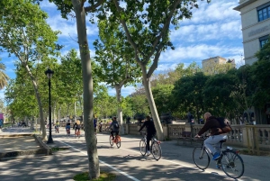 バルセロナ：2.5時間の自転車またはEバイク歴史ツアー