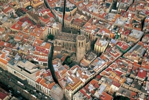 Wandeltour door de gotische binnenstad van Barcelona van 2 uur