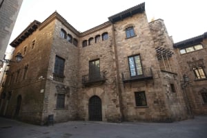 Wandeltour door de gotische binnenstad van Barcelona van 2 uur
