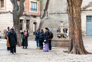 Wandeltour door de gotische binnenstad van Barcelona van 2 uur