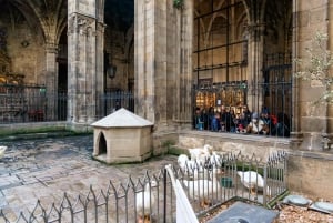 Wandeltour door de gotische binnenstad van Barcelona van 2 uur