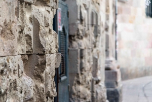 Barcelona 2-timmars gotisk rundvandring