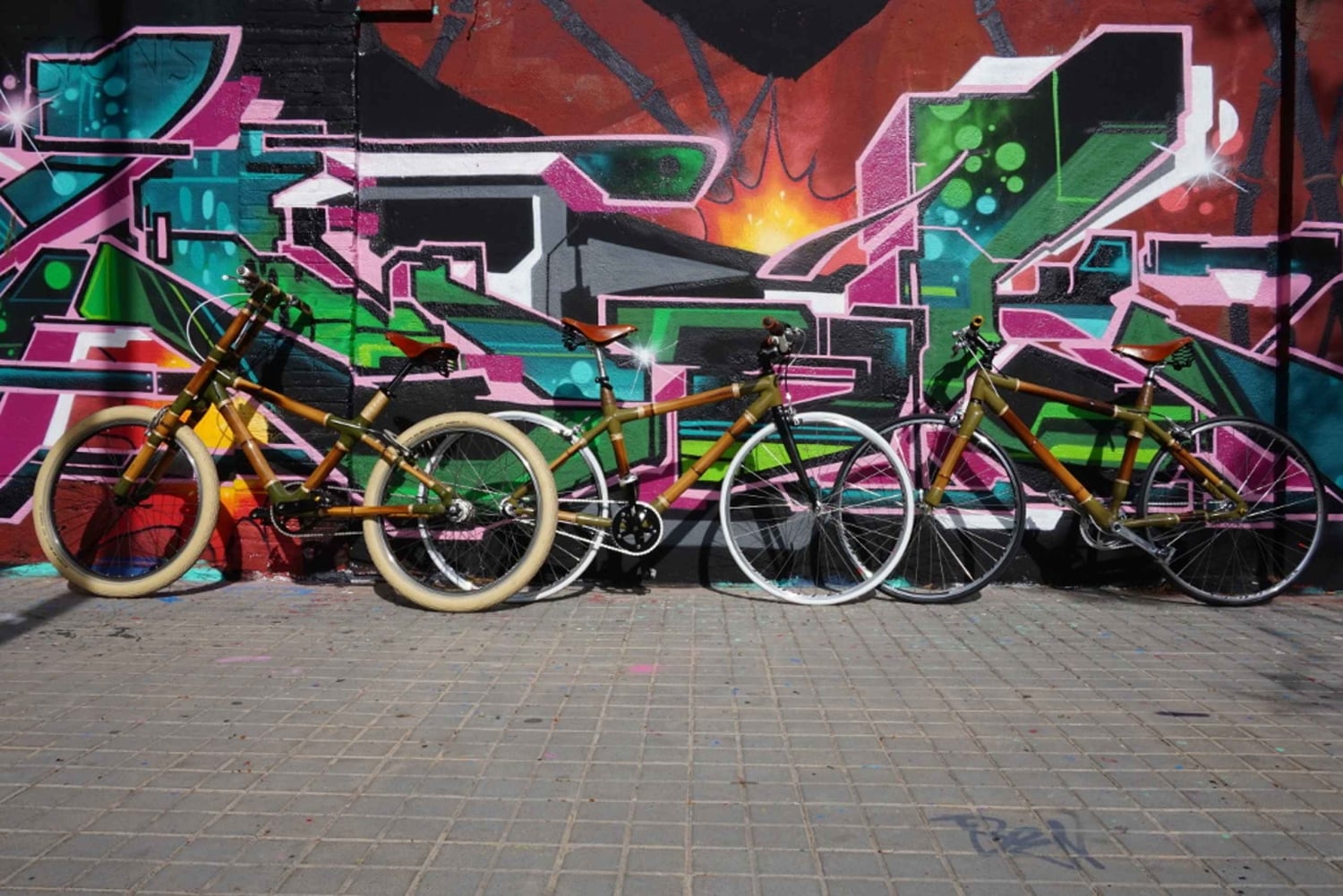 Barcelona: 3,5 uur durende streetart-tour op een bamboebike