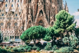 Barcelone : visite à pied de 3 heures et surprise