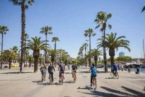 Barcelona 3-Hour Bike Tour – The Highlights