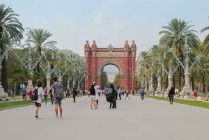 Барселона: 3-часовой велотур с местным гидом