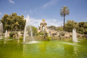 Barcelona: 3-Hour Segway Sightseeing Tour