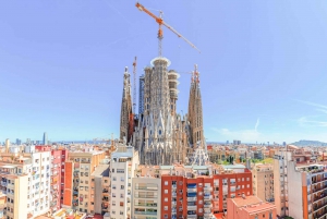 Barcelona 3-Hour Segway Tour with Sagrada Familia