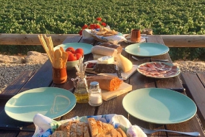 Барселона: 3 винодельни Пенедес с трансфером из отеля и обедом