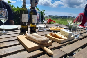 Барселона: 3 винодельни Пенедес с трансфером из отеля и обедом