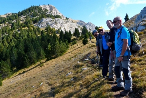 Barcelona: 4-Day Pyrenees and National Park Trip