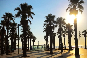 Barcelona: 4-timers fotograferingstur på elsykkel