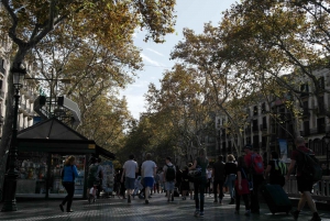 Barcelona: 4-hour Private Guided Walking Tour