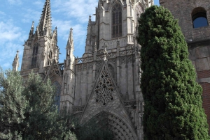 Barcelona: 4-hour Private Guided Walking Tour
