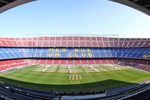 Barcelona 4-Hour Private Sports Tour: Camp Nou