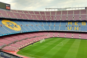 Barcelona 4-Hour Private Sports Tour: Camp Nou