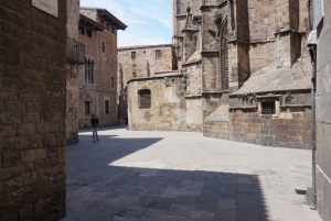 Barcelona: Gothic Quarter and Sagrada Familia Private Tour