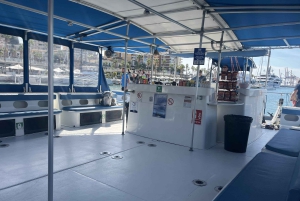 Barcelona: AFTERWORK-katamaran med musik och dryck