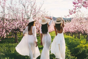 Formentera: passeio a cavalo privado com recolha na praia