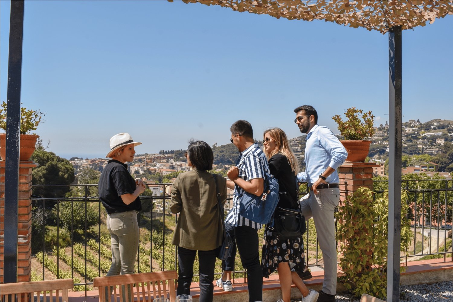 Barcellona: tour enologico ad Alella con degustazione e picnic in vigna