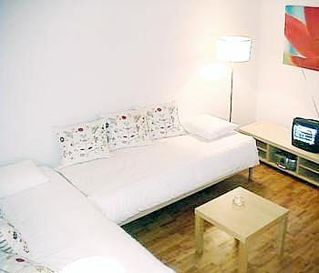 Barcelona Apartment Home Advice C
