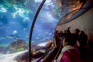 Barcelona Aquarium: Skip-the-Line Admission Ticket
