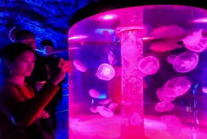 Barcelona Aquarium: Skip-the-Line Admission Ticket