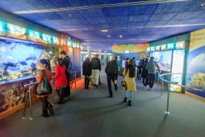Oceanarium w Barcelonie: Bilet wstępu bez kolejki