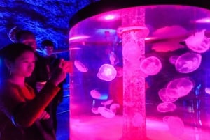 Barcelona Aquarium: Ticket ohne Anstehen