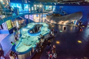 L'Aquarium Forbi-køen-billett
