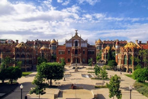 Barcelona Architecture Walking Tour With Casa Batlló Upgrade