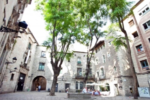 Barcelona: Wandeltour kunst, tapas en Picasso Museum
