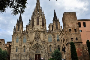Barcelona: Kunst, tapas og Picasso-museets vandretur