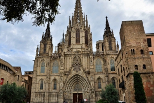 Barcelona: Art, Tapas, & Picasso Museum Walking Tour