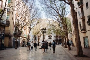 Barcelona ved solnedgang: Tapas- og vintur