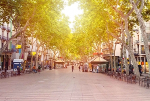 Barcelona Audioguide - L'application TravelMate pour votre smartphone