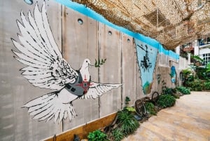 Barcelona: Museu Banksy, Ingresso para Exposição Permanente