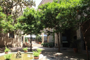 Barcelona: Gothic Quarter Walking Tour