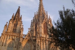 Barcelona: wandeltocht door de Gotische wijk