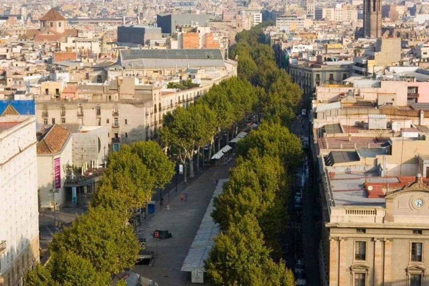 Barcelona: Private 2-Hour Best of Barcelona In-city Tour