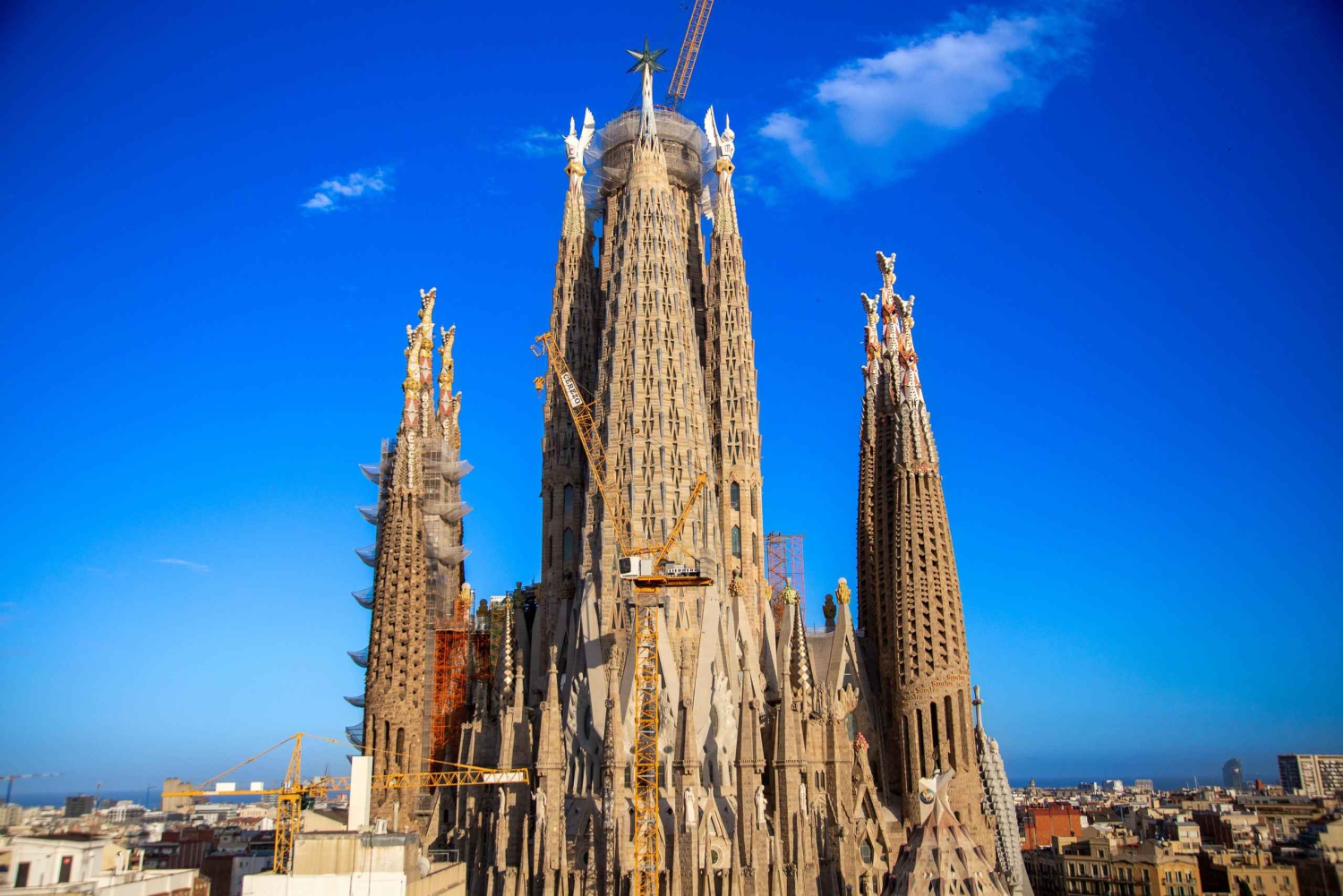 Barcelona: Det beste av Sagrada Familia - privat omvisning