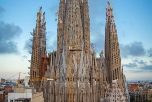 Barcelona: Best of Sagrada Familia Private Tour