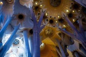 Barcelona: Best of Sagrada Familia Private Tour