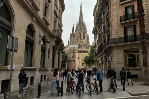 Barcelona: fietstocht of e-biketour, topbezienswaardigheden en lokale tips