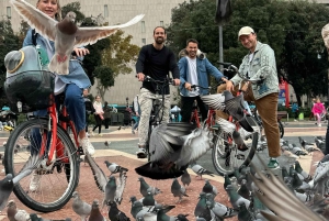 Barcelona: fietstocht of e-biketour, topbezienswaardigheden en lokale tips