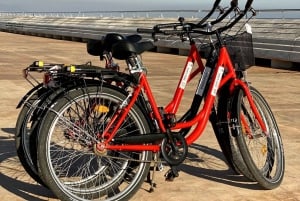 Barcelona: Sykkelutleie med kart og lokale anbefalinger