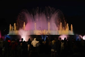 Barcelona Bike Tour by Night with Cava and Fountain Show
