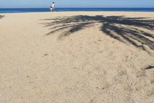 Barcelona: tour en bicicleta para familias